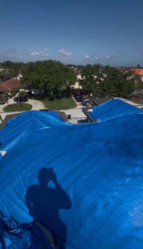 Tarp services