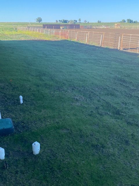 Hydroseeding gallery
