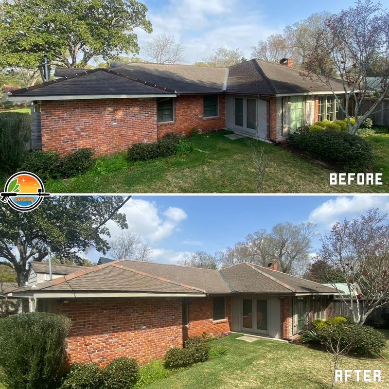 Gutter Cleaning