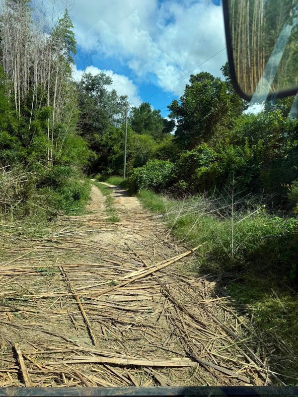 Land Clearing