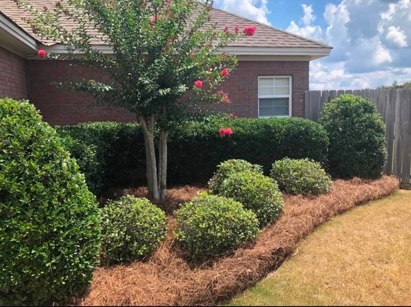 Mulch, Pine Straw Installation