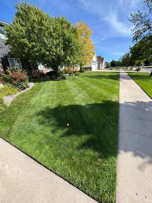 Organic Lawn Fertilization | Meticulous Mowing LLC | Grand Forks, ND