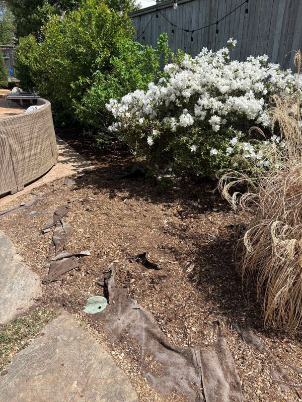 Mulch Installation