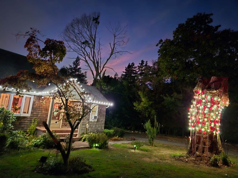 Landscape Lighting