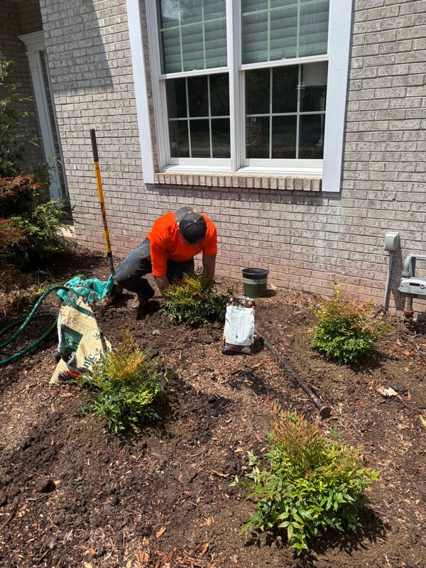 Landscaping