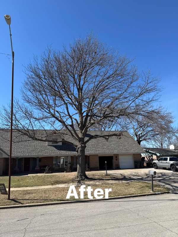 Fall Clean Up