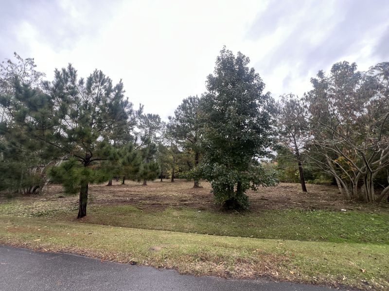 Forestry Mulching