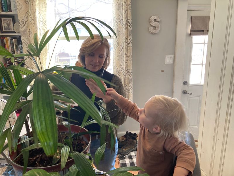 Indoor Plant Care