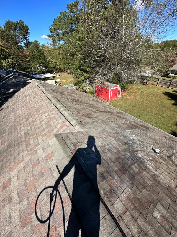 Roof Cleaning