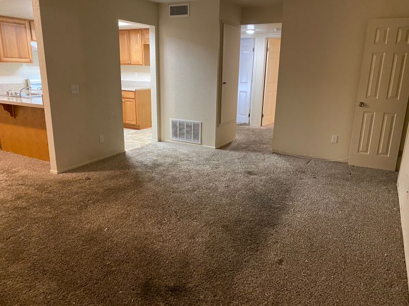 Eviction Clean-Out