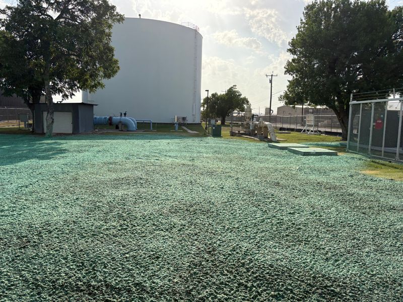 Hydroseeding