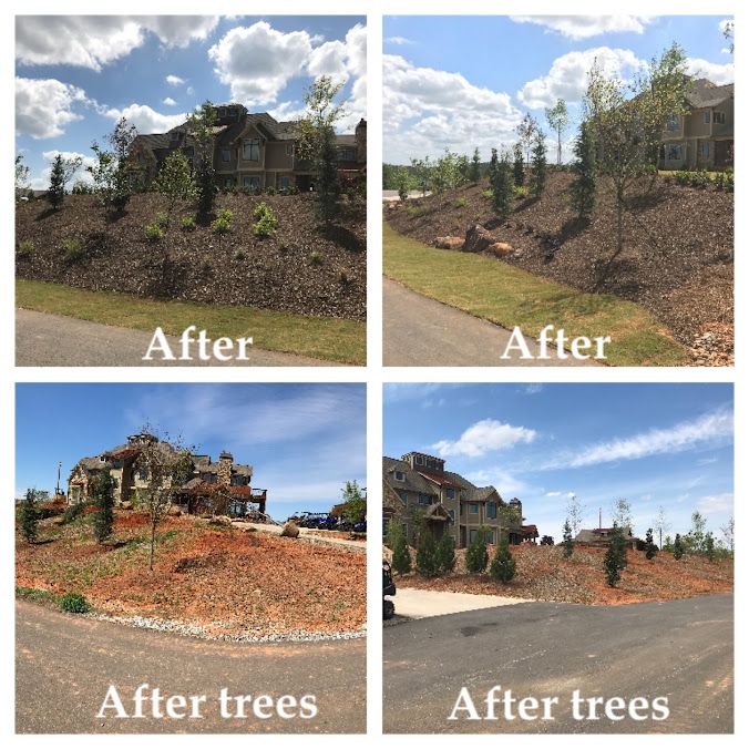 Landscape Design
