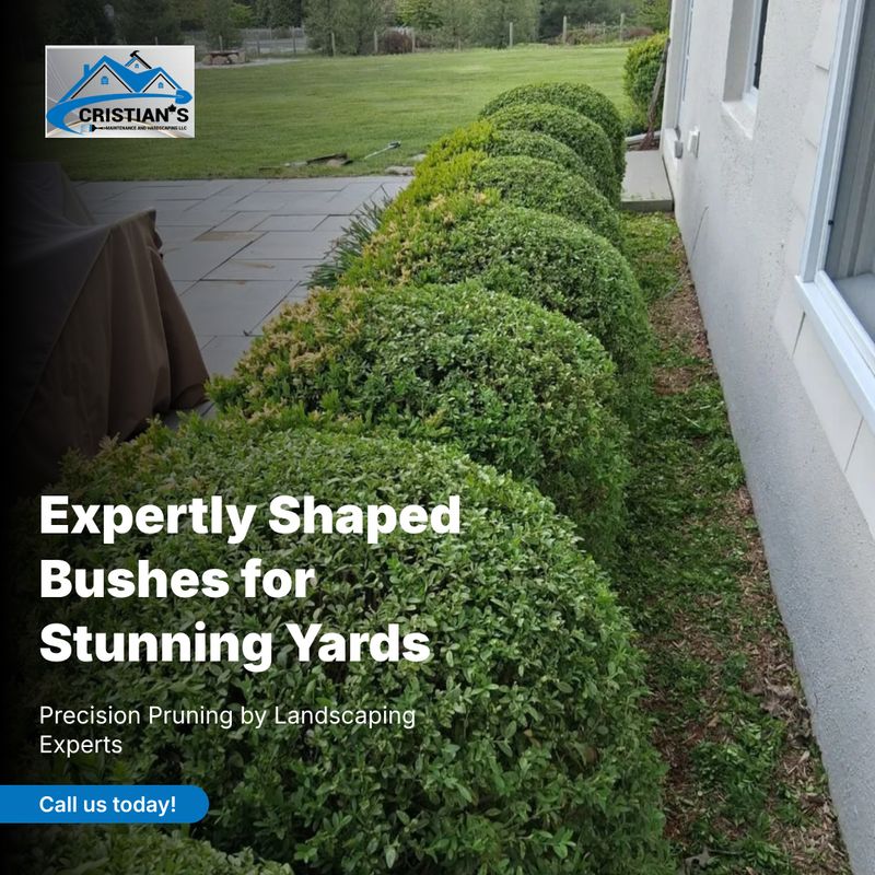 Landscaping