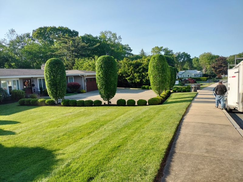 Landscaping gallery
