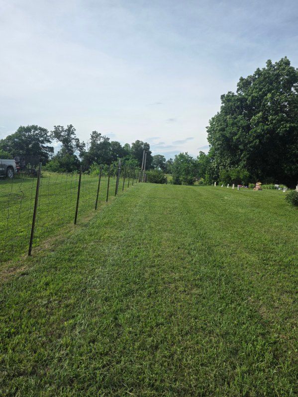 Lawn Care & Maintenance