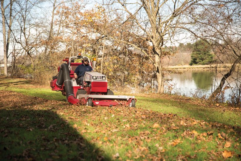 Fall Clean Up