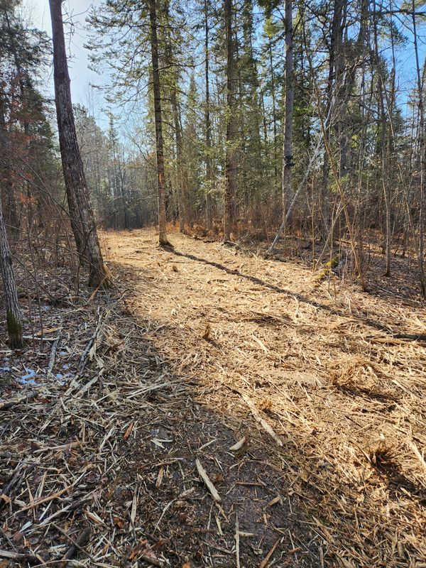 Forestry Mulching & Brush Mowing