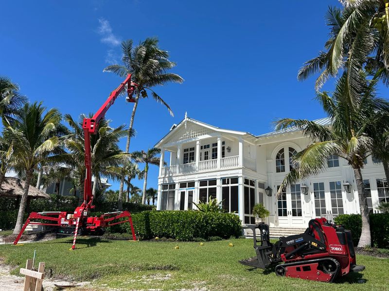 Tree Trimming