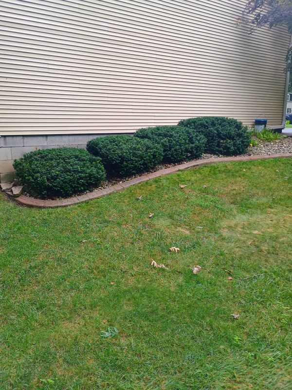 Lawn Care and Maintenance