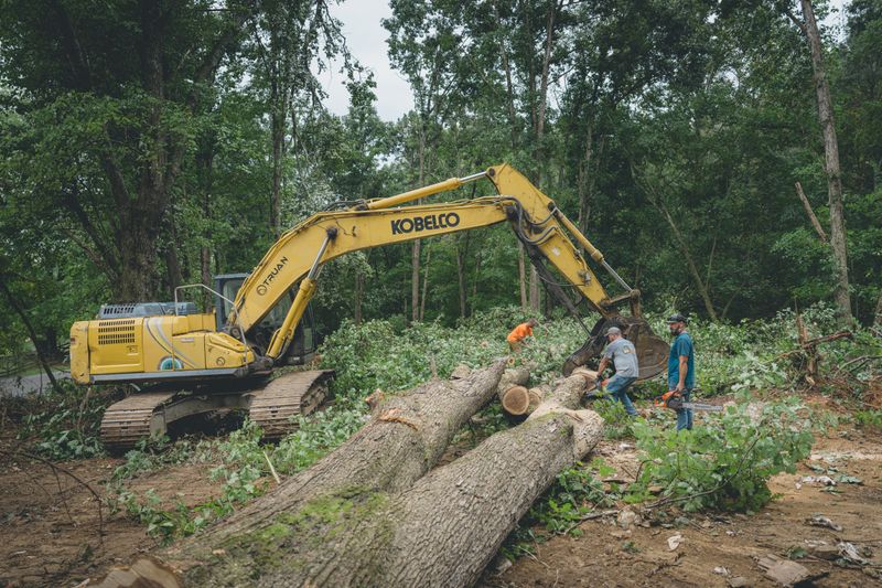 Land Clearing