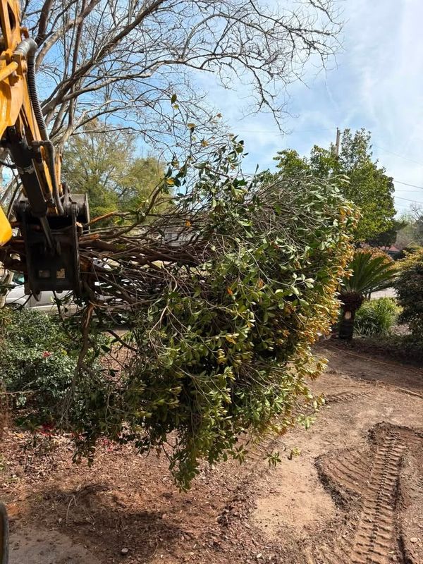 Grading & Dirt Work