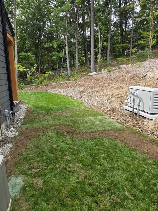 Landscape Design & Installation