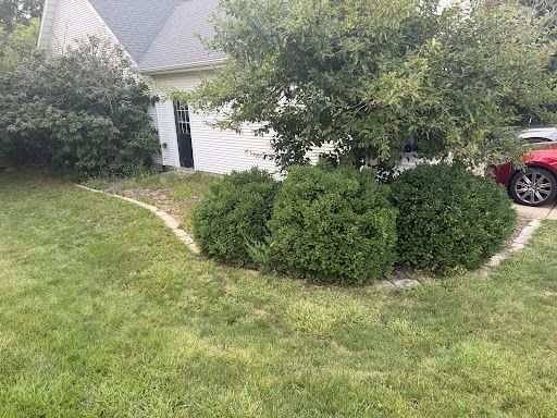Lawn Maintenance