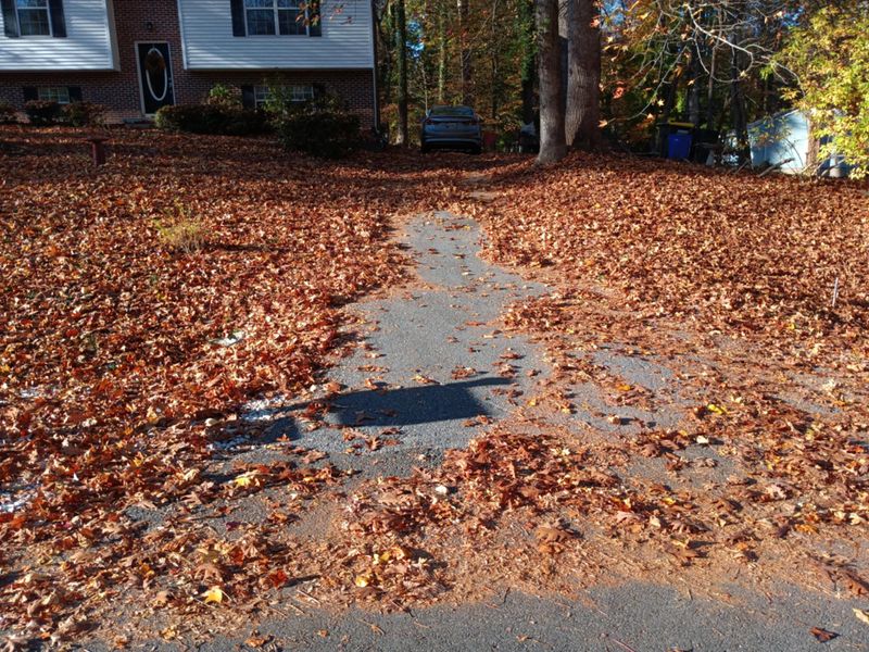 Leaf and Fall Cleanup