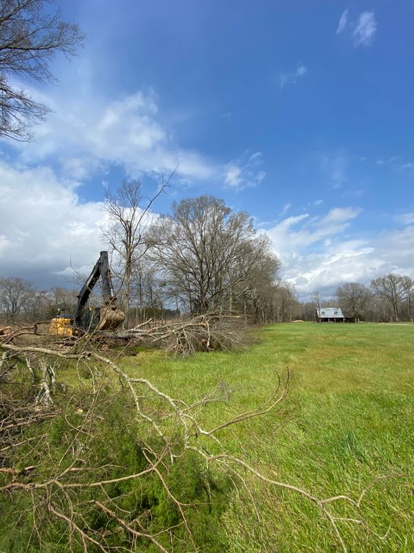 Land Clearing