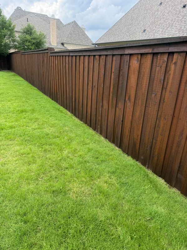Deck and Fence Staining