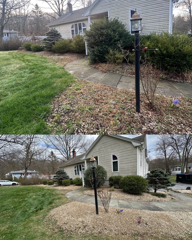 Shrub Trimming
