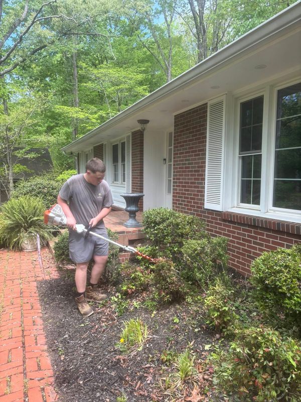 Plant & Shrub Installations