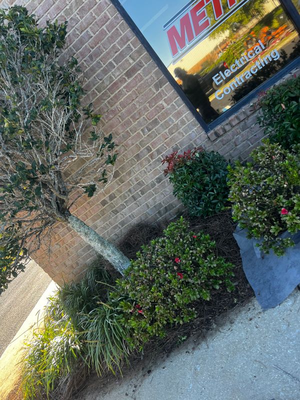 Landscape Design & Planting