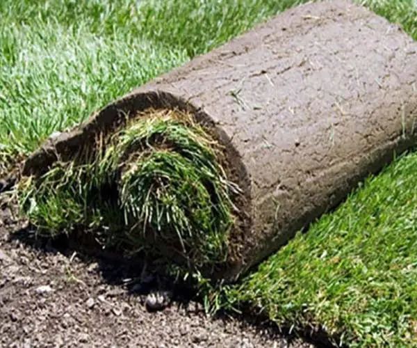 Sod Install