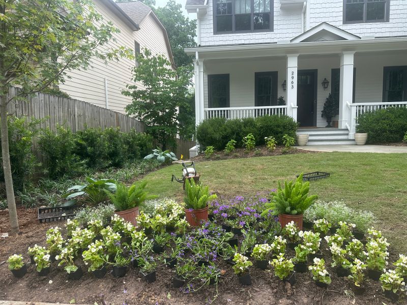 Landscape Design