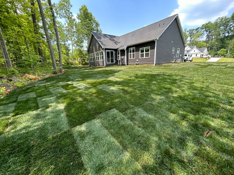 Transformative Yard Revitalization with Premium Sod Installation