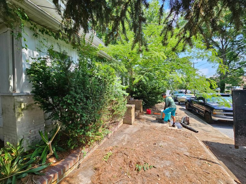 Lawn Maintenance