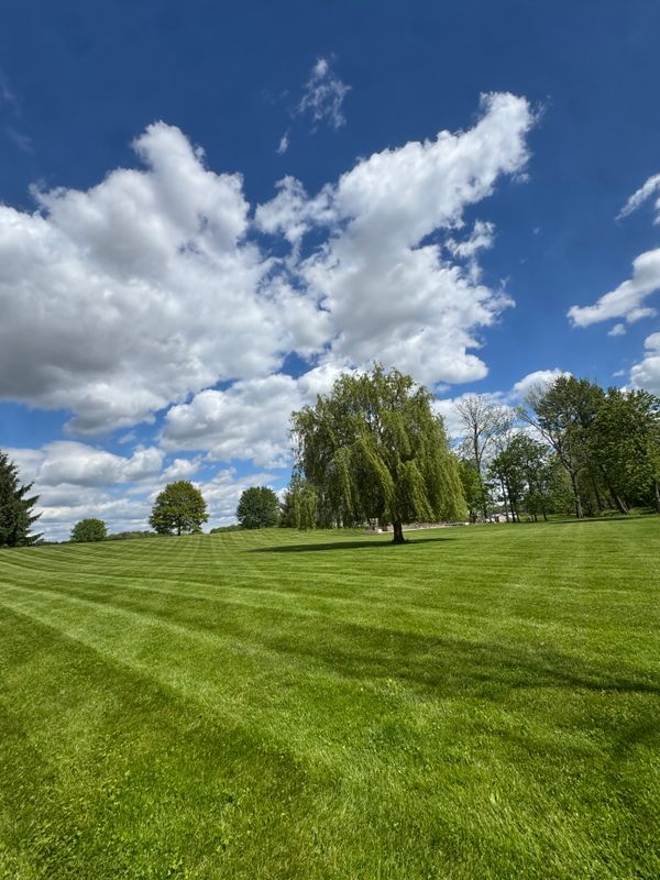Lawn Maintenance