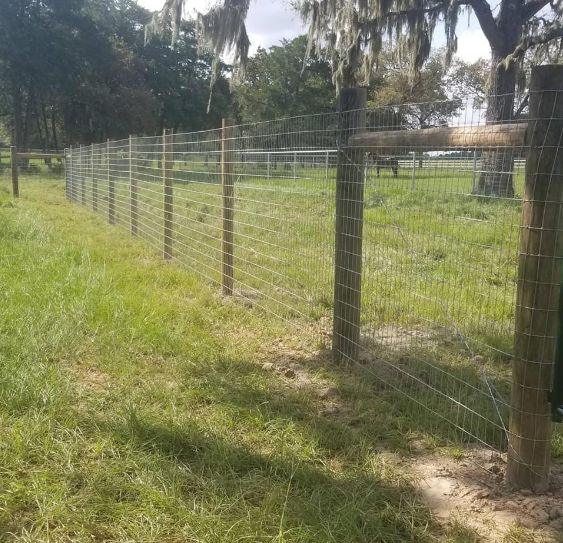 Field Fence