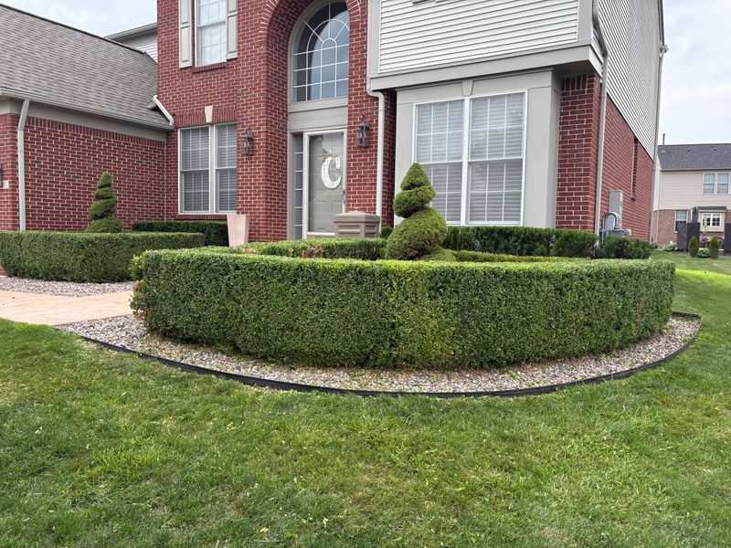 Shrub Trimming