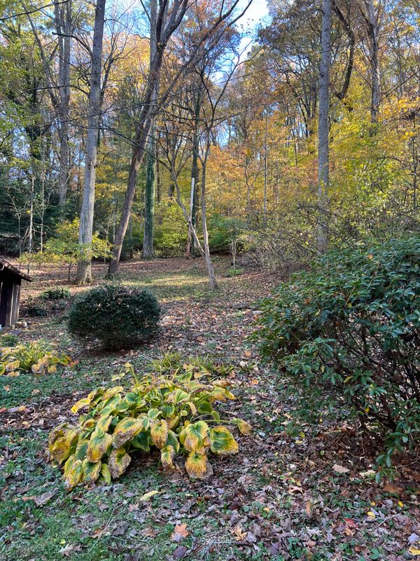 Fall Clean Up