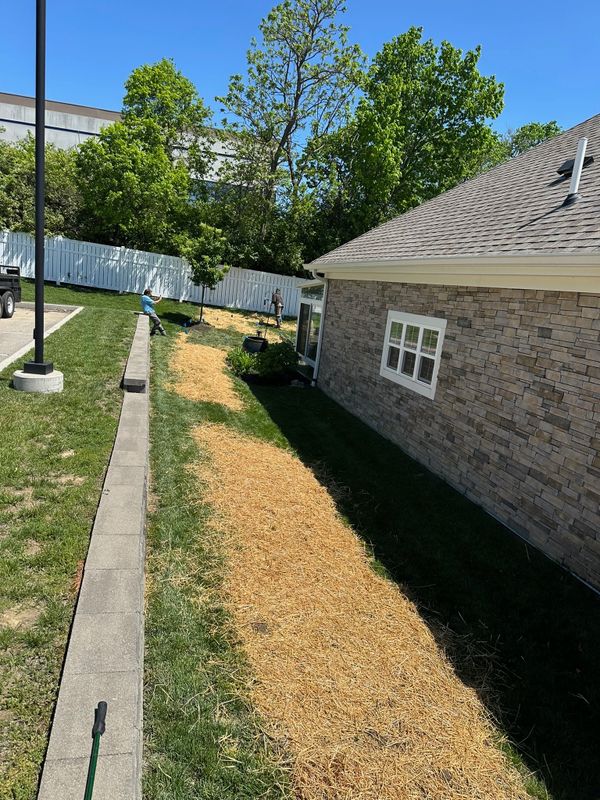 Lawn Installation