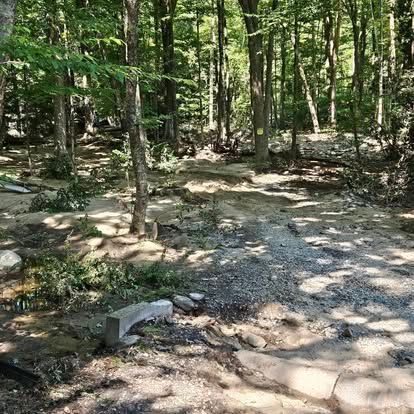 Swift Recovery Driveway Rebuild: Nick's Expertise in Monroe Septic Solutions