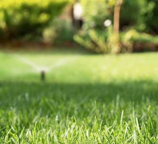 Irrigation Services