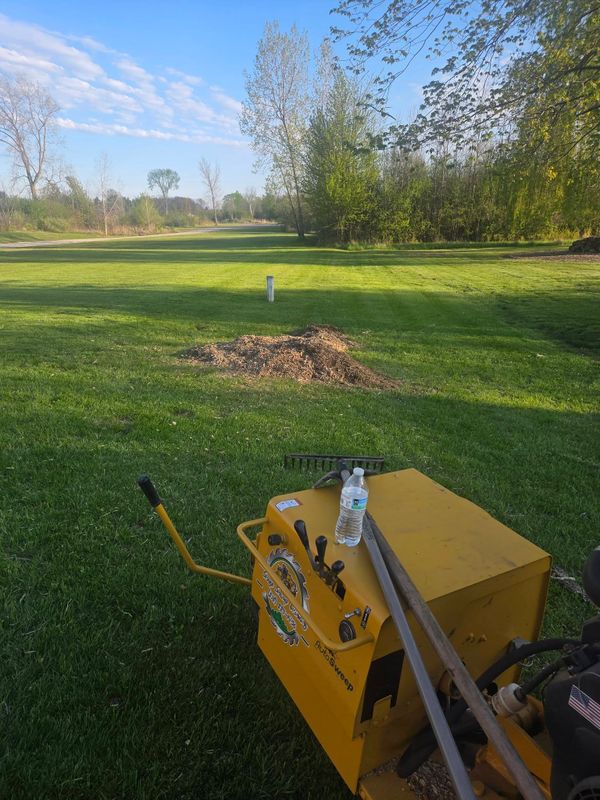 Stump Grinding