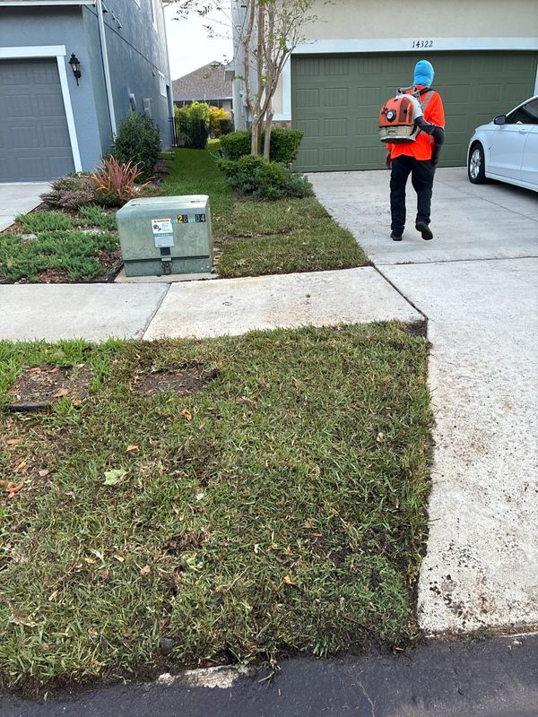 Sod Types