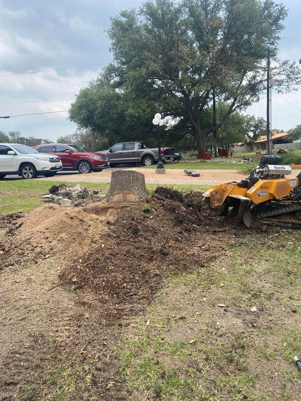 Stump Grinding