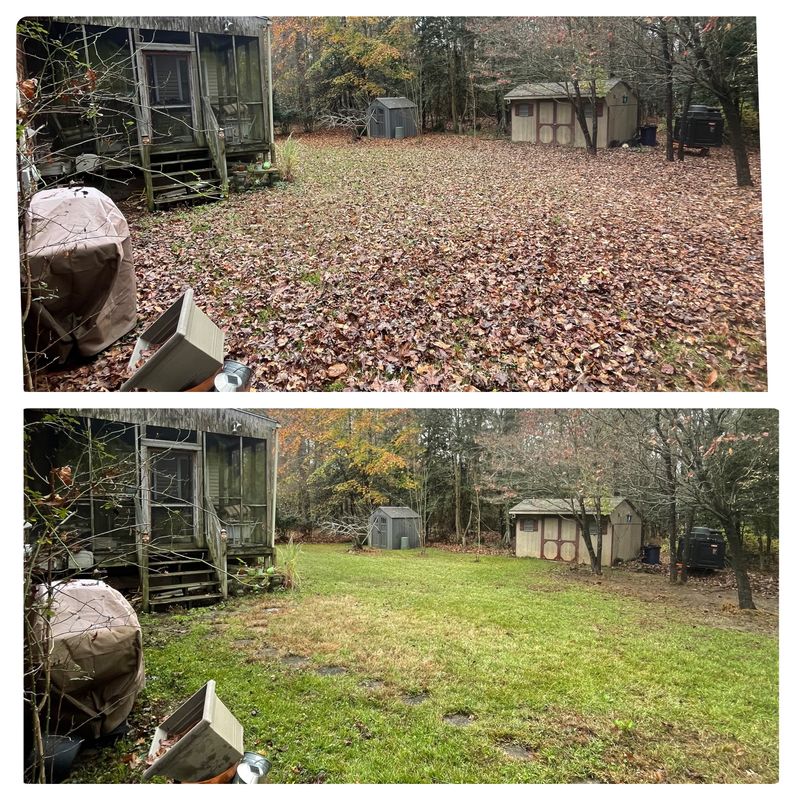 Leaf Removal