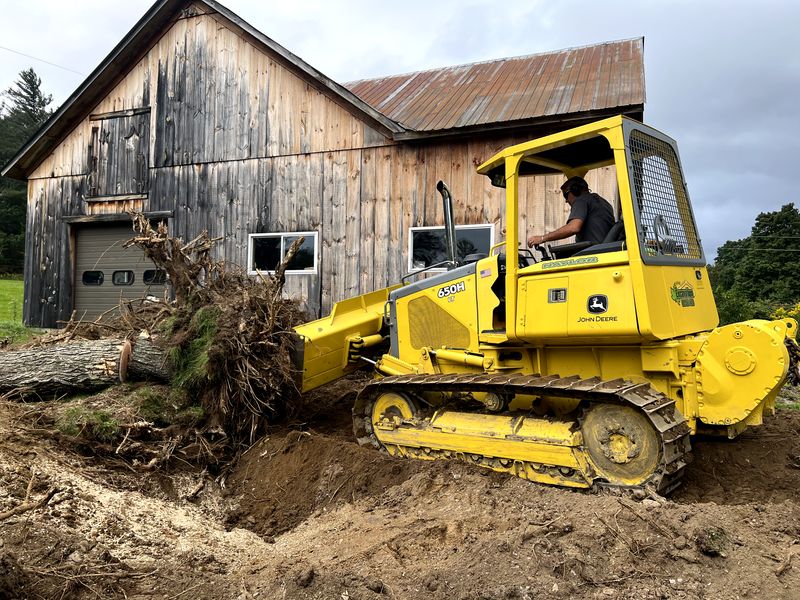 Dangerous Tree Removal