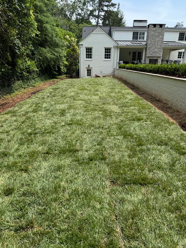 Sod Installation